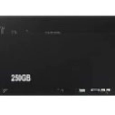 SAMSUNG 980 MZ-V8V250BW – SSD – 250 GO – PCIE 3.0 X4 (NVME)