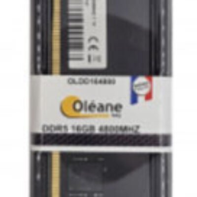 16GB SO-DDR5 4800 MHz 288Pin 1.1V Oléane key