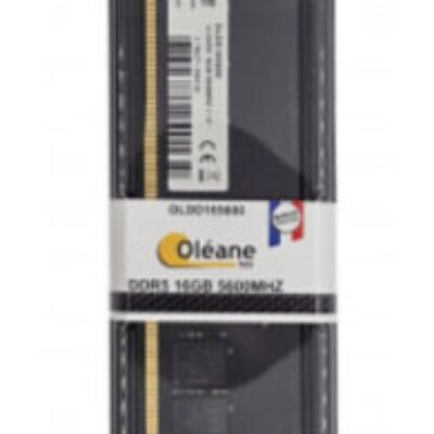 16GB DDR5 5600 MHz 288Pin 1.1V Oléane key