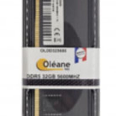 32GB DDR5 5600 MHz 288Pin 1.1V Oléane key