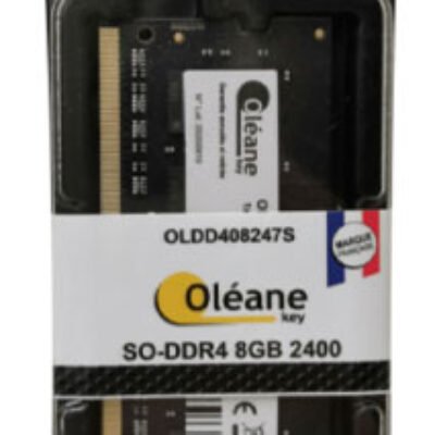 8GB SO-DDR4 2400 MHz / CL17 1.2V (PC4-19200) Oléane key